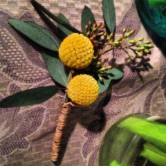 Seller Image